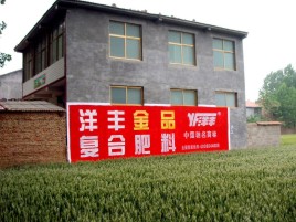 南涧如何让墙体广告展现最大化效果