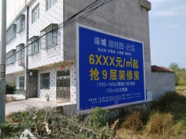 南涧墙体广告质量分析