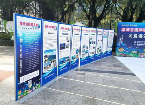 南涧KT板的种类和知识。